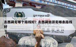 去西藏走哪个路线好？去西藏旅游走哪条路线好