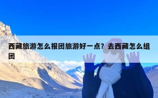 西藏旅游怎么报团旅游好一点？去西藏怎么组团