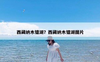 西藏纳木错湖？西藏纳木错湖图片