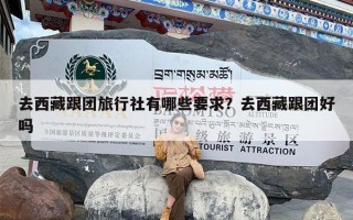 去西藏跟团旅行社有哪些要求？去西藏跟团好吗