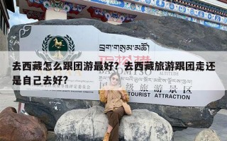 去西藏怎么跟团游最好？去西藏旅游跟团走还是自己去好?