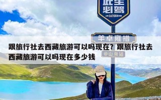 跟旅行社去西藏旅游可以吗现在？跟旅行社去西藏旅游可以吗现在多少钱
