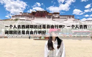 一个人去西藏跟团还是自由行啊？一个人去西藏跟团还是自由行啊好