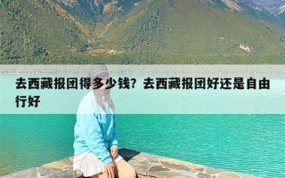 去西藏报团得多少钱？去西藏报团好还是自由行好