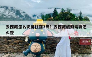 去西藏怎么安排住宿3天？去西藏旅游需要怎么整