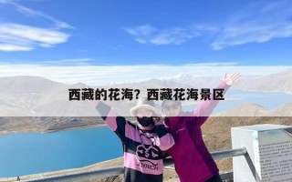 西藏的花海？西藏花海景区