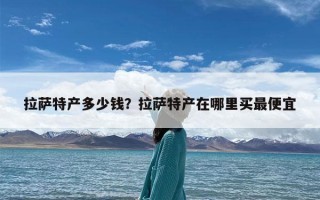 拉萨特产多少钱？拉萨特产在哪里买最便宜