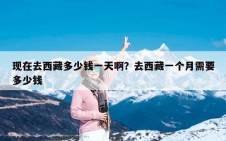 现在去西藏多少钱一天啊？去西藏一个月需要多少钱