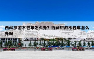 西藏旅游不包车怎么办？西藏旅游不包车怎么办呀