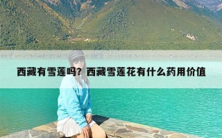 西藏有雪莲吗？西藏雪莲花有什么药用价值