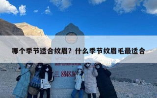 哪个季节适合纹眉？什么季节纹眉毛最适合