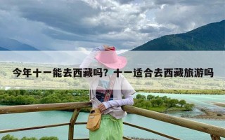 今年十一能去西藏吗？十一适合去西藏旅游吗