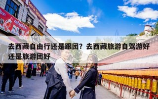 去西藏自由行还是跟团？去西藏旅游自驾游好还是旅游团好