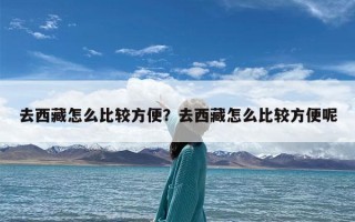 去西藏怎么比较方便？去西藏怎么比较方便呢