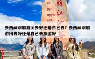 去西藏跟旅游团去好还是自己去？去西藏跟旅游团去好还是自己去旅游好