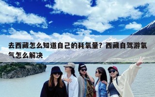 去西藏怎么知道自己的耗氧量？西藏自驾游氧气怎么解决