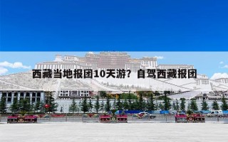 西藏当地报团10天游？自驾西藏报团