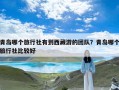 青岛哪个旅行社有到西藏游的团队？青岛哪个旅行社比较好