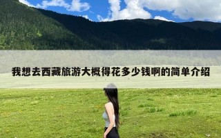 我想去西藏旅游大概得花多少钱啊的简单介绍