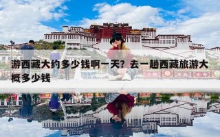 游西藏大约多少钱啊一天？去一趟西藏旅游大概多少钱