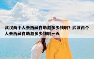 武汉两个人去西藏自助游多少钱啊？武汉两个人去西藏自助游多少钱啊一天