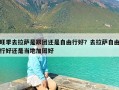 旺季去拉萨是跟团还是自由行好？去拉萨自由行好还是当地加团好