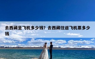 去西藏坐飞机多少钱？去西藏往返飞机票多少钱