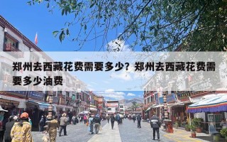 郑州去西藏花费需要多少？郑州去西藏花费需要多少油费