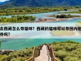 去西藏怎么带猫咪？西藏的猫咪可以带回内地养吗?