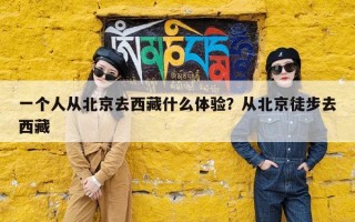 一个人从北京去西藏什么体验？从北京徒步去西藏