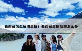 去西藏怎么解决高反？去西藏高原反应怎么办