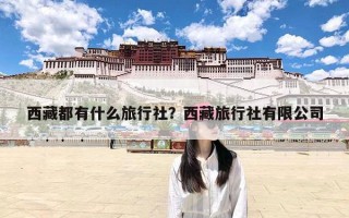 西藏都有什么旅行社？西藏旅行社有限公司