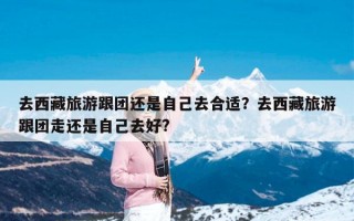 去西藏旅游跟团还是自己去合适？去西藏旅游跟团走还是自己去好?