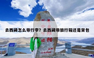 去西藏怎么带行李？去西藏带旅行箱还是背包