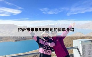 拉萨市未来5年规划的简单介绍