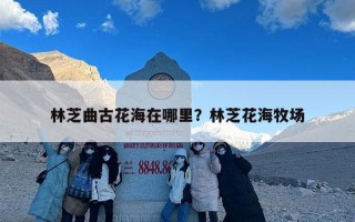 林芝曲古花海在哪里？林芝花海牧场
