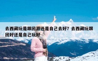 去西藏玩是跟团游还是自己去好？去西藏玩跟团好还是自己玩好