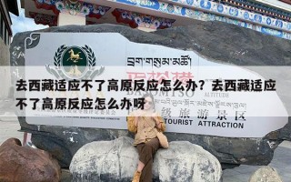 去西藏适应不了高原反应怎么办？去西藏适应不了高原反应怎么办呀