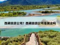 西藏旅游公司？西藏旅游公司是国企吗