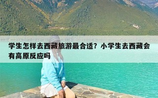 学生怎样去西藏旅游最合适？小学生去西藏会有高原反应吗