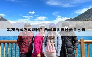 出发西藏怎么跟团？西藏跟团去还是自己去