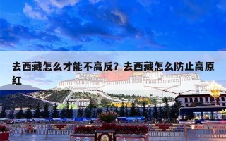 去西藏怎么才能不高反？去西藏怎么防止高原红