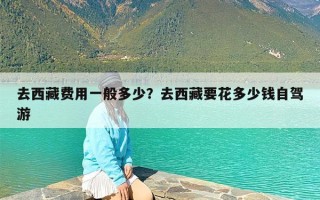 去西藏费用一般多少？去西藏要花多少钱自驾游