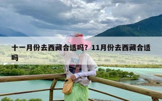 十一月份去西藏合适吗？11月份去西藏合适吗