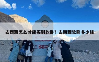 去西藏怎么才能买到软卧？去西藏软卧多少钱