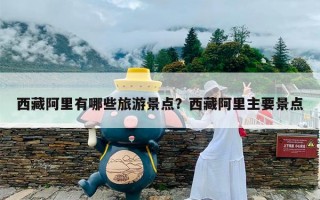 西藏阿里有哪些旅游景点？西藏阿里主要景点