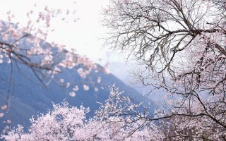 三月份去西藏旅游7天大概多少钱？两个人去西藏旅游七天路线推荐？
