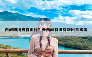 西藏跟团去自由行？去西藏有没有跟团自驾游