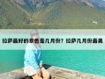 拉萨最好的景色是几月份？拉萨几月份最美