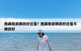 西藏旅游跟团好还是？西藏旅游跟团好还是不跟团好